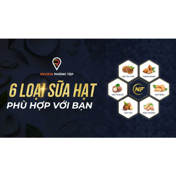 6 Loại Sữa Hạt Phù Hợp Với Bạn